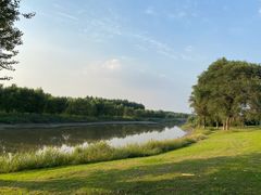 -蒲河岛湿地公园