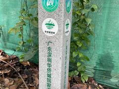 -华侨城湿地公园