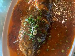 过水鱼-代木儿回锅肉