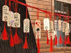 -世纪飞马幼儿园(西城校区)