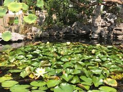 -苏州冶园园林民宿(太湖西山风景区店)