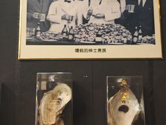 -土蚝·高压锅生蚝(百姓美食街店)