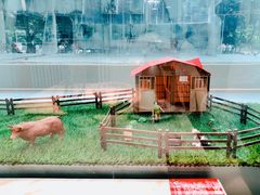 -为什么牛潮汕牛肉火锅(中信广场店)