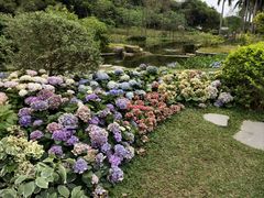 -云溪植物园