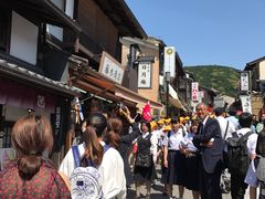 -有栖山 清光院 清水寺