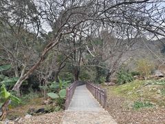 -广州市石门国家森林公园