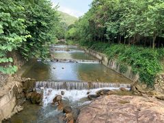 -广州白江湖森林公园