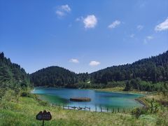 -武陵山森林公园