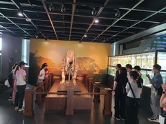 -广东中医药博物馆