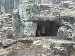 -宁波野生动物园