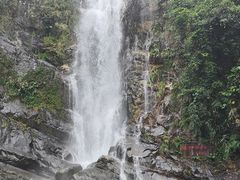 -鼎湖山风景区
