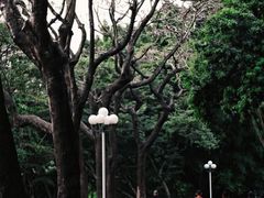 -人民公园(罗湖区)