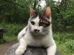 -麦当劳(杭州文三路店)