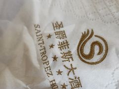 -圣爵菲斯大酒店(长沙世界之窗店)