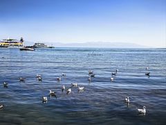 -青海湖国家重点风景名胜区