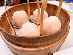 招牌虾饺皇-金鼎轩(方庄天坛店)