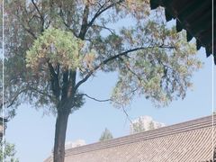 -万寿八仙宫