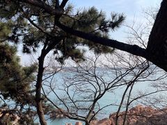 -青岛第一海水浴场