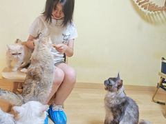 -Meowの猫咖(万家丽店)