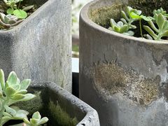 -简象咖啡CAFE ELE JANE(满陇桂雨店)