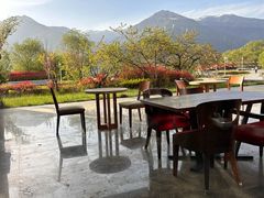 -林芝工布庄园希尔顿酒店-猎味中餐厅