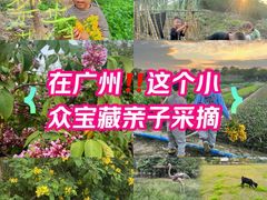 -新塘水果乐园(东洲大道店)