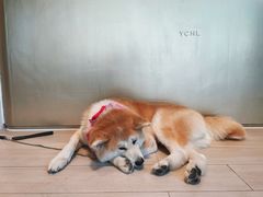 -YCHL Studios健身工作室(市二宫店)