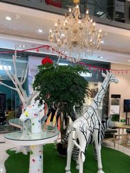 点击看大图 -同远QQBABY亲子摄影(北京路店)