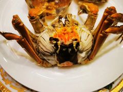 -王宝和酒家(黄浦店)