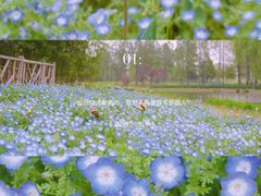 -上海辰山植物园
