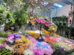-朝来春花卉市场