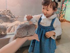 -昆明大悦城未来动物城(螺蛳湾中心店)