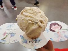 -野人先生现做冰淇淋(西安赛格店)