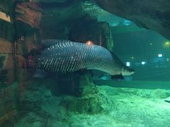 -华夏文旅海洋公园