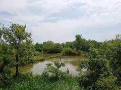 -木守西溪溪隐餐厅