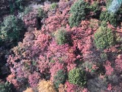 -少华山国家森林公园