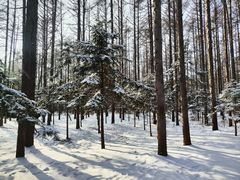 -长春净月潭风景名胜区