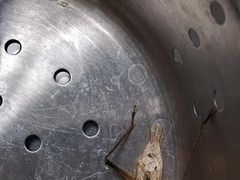 -杭州城北体育公园