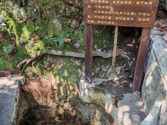 -十八棵（老龙井）御茶园(老龙井店)