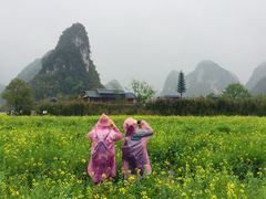 -靖西鹅泉风景区