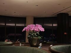 -大连君悦酒店·星海湾壹号Dalian·Dalian(星海广场店)