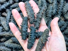 -大连双兴商品城