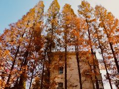 -一尺花园(安和花园店)