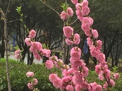 -木塔寺遗址生态公园
