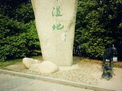 -溱湖国家湿地公园