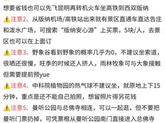 -西双版纳傣族园