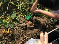 -乡乐园蟹庄·阳澄湖农家乐