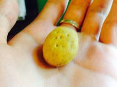 -Carmen卡门西班牙餐厅