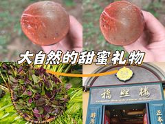 -福照楼汽锅鸡·云南特色菜(万达广场店)