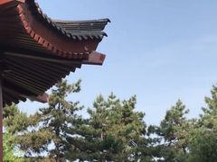 -大慈恩寺(大雁塔)